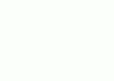 De notificaciones aisladas a +10x conversiones: la historia de Spin con Braze